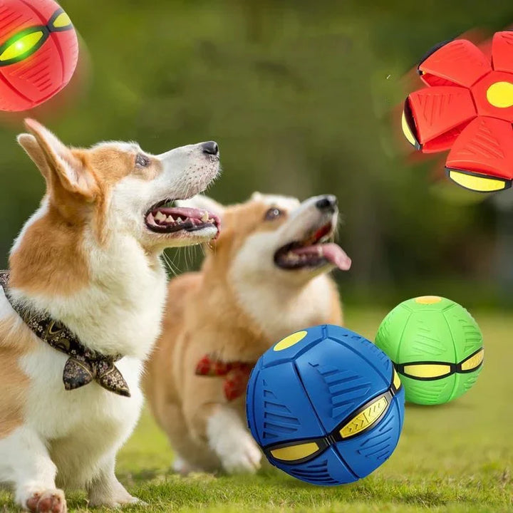 Pelota Magica Para Perros