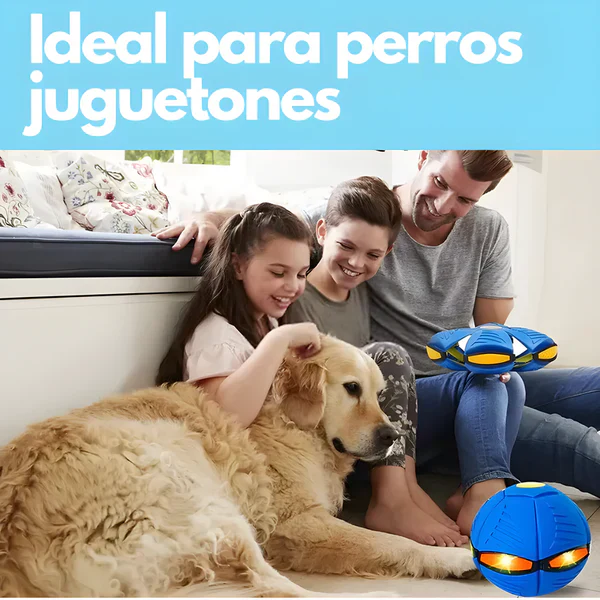 Pelota Magica Para Perros